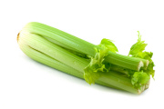 how to grow celery