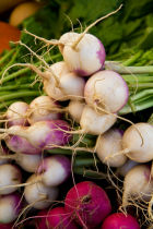 How to grow turnips